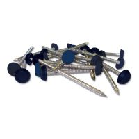 Blue Plastic Headed Nails & Pins